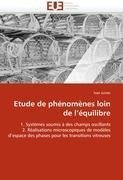 Etude de phénomènes loin de l'équilibre