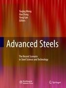 Advanced Steels