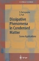 Dissipative Phenomena in Condensed Matter