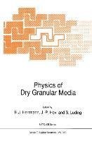 Physics of Dry Granular Media