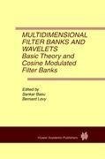 Multidimensional Filter Banks and Wavelets