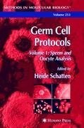 Germ Cell Protocols