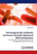 Aminoglycoside antibiotic resistance through ribosomal RNA methylation