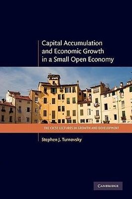 Capital Accumulation and Economic Growth in a Small Open Economy