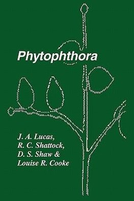 Phytophthora