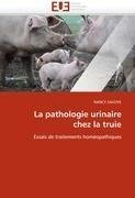 La pathologie urinaire chez la truie