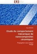 Etude du comportement mécanique de nanocomposites céramiques