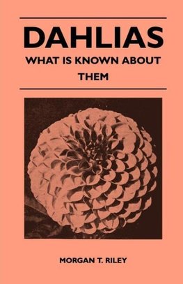 Dahlias - What Is Known About Them