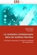 La cavitation instationnaire dans les turbines Darrieus