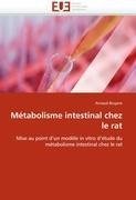 Métabolisme intestinal chez le rat