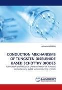 CONDUCTION MECHANISMS OF TUNGSTEN DISELENIDE BASED SCHOTTKY DIODES