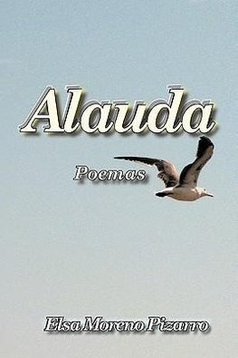 Alauda