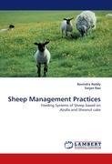 Sheep Management Practices