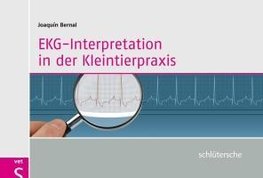 EKG-Interpretation in der Kleintierpraxis