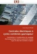 Centrales électriques à cycles combinés gaz/vapeur