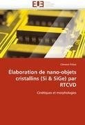 Élaboration de nano-objets cristallins (Si & SiGe) par RTCVD