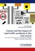 Causes and the impact of road traffic accidents in the civil service