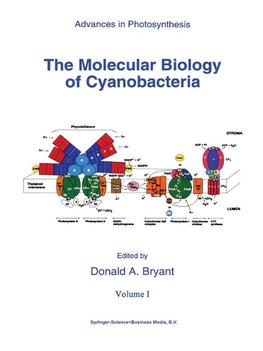 The Molecular Biology of Cyanobacteria