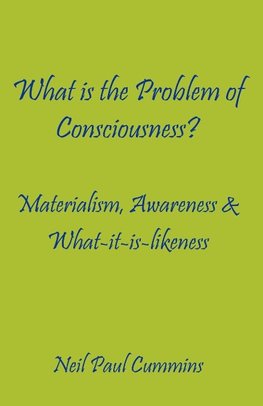 What is the Problem of Consciousness?