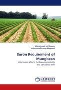 Boron Requirement of Mungbean