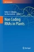 Non Coding RNAs in Plants