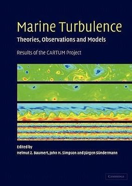 Marine Turbulence