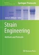 Strain Engineering