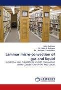Laminar micro-convection of gas and liquid