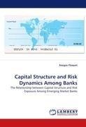 Capital Structure and Risk Dynamics Among Banks