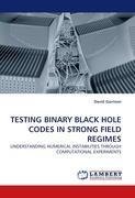 TESTING BINARY BLACK HOLE CODES IN STRONG FIELD REGIMES