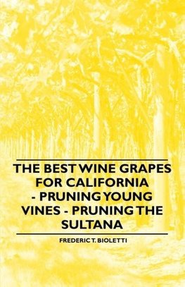 The Best Wine Grapes for California - Pruning Young Vines - Pruning the Sultana