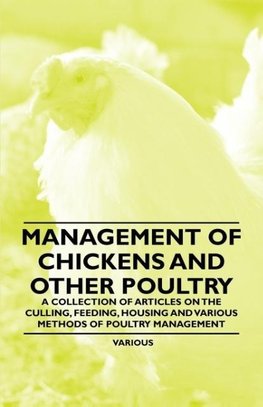 Management of Chickens and Other Poultry - A Collection of Articles on the Culling, Feeding, Housing and Various Methods of Poultry Management