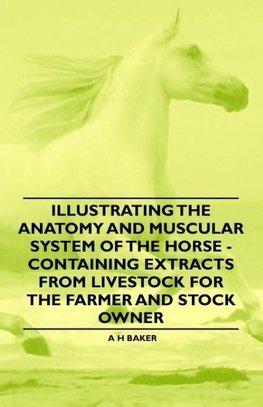 Illustrating the Anatomy and Muscular System of the Horse - Containing Extracts from Livestock for the Farmer and Stock Owner