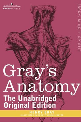 Gray's Anatomy