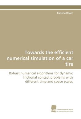 Towards the efficient numerical simulation of a car tire