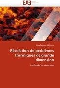 Résolution de problèmes thermiques de grande dimension