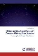 Reionization Signatures in Quasar Absorption Spectra