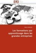 Les formations par apprentissage dans les grandes entreprises