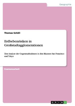 Erdbebenrisiken in Großstadtagglomerationen