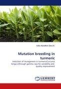 Mutation breeding in turmeric