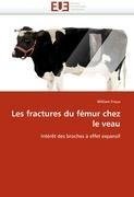 Les fractures du fémur chez le veau