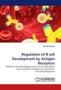 Regulation of B cell Development by Antigen Receptors