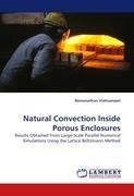 Natural Convection Inside Porous Enclosures