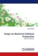 Scope on Bacterial Cellulose Production