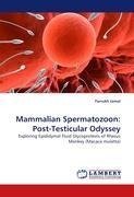 Mammalian Spermatozoon: Post-Testicular Odyssey