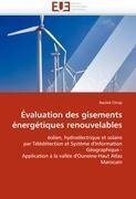 Évaluation des gisements énergétiques renouvelables