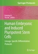 Human Embryonic and Induced Pluripotent Stem Cells