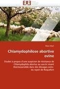 Chlamydophilose abortive ovine