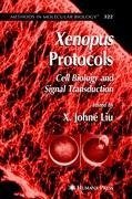 Xenopus Protocols