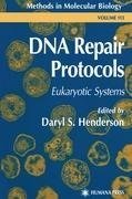 DNA Repair Protocols